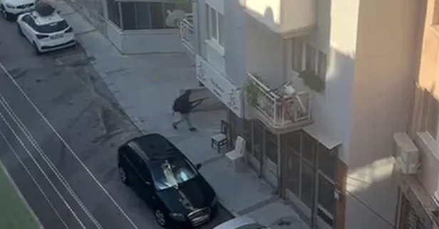 İzmir'deki alçak saldırıya tepkiler peş peşe geldi! Bahçeli: Sokakların karışmasını hedefleyenler muvaffak olamayacak