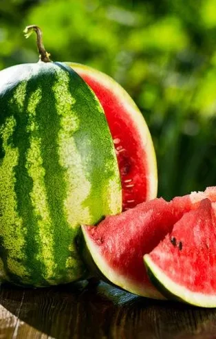 Bağırsakların ilacı "Karpuz"