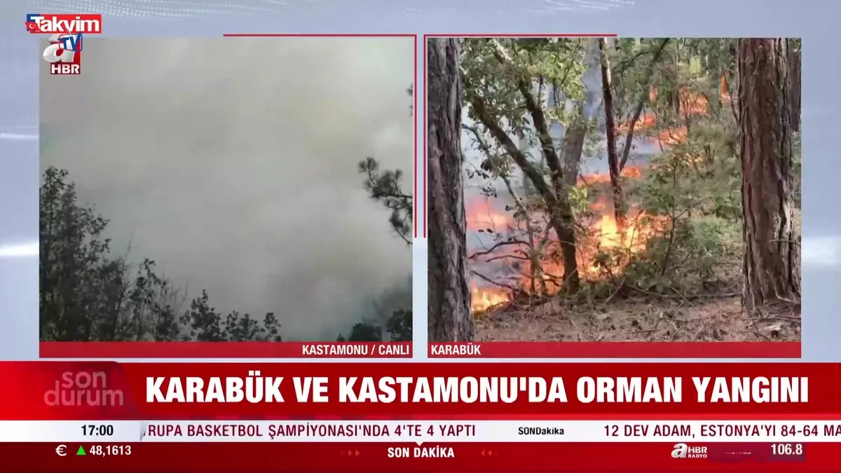 Karabük ve Kastamonu'da orman yangını