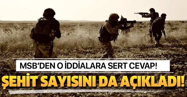 msb baris pinari harekati nda kac