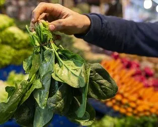 Kemiklere pazı yeter