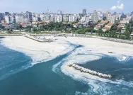 Marmarada müsilaj seferberliği! 7 ilde eş zamanlı temizlik...