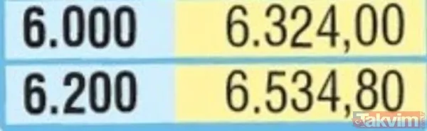 Emekliler 2021 Ocak ayında ne kadar zam alacak? Emeklinin ocak maaşı kaç lira olacak? - 14