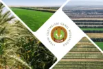 TİGEM 254 sürekli işçi alımı İŞKUR başvuru ekranı 2025: Hangi kadrolara alım yapılacak?