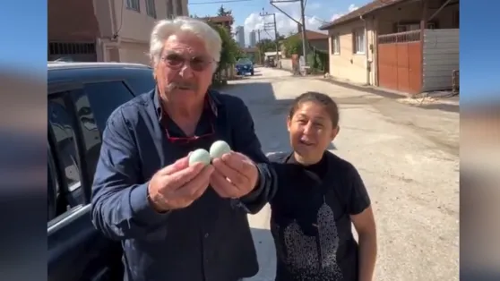 Yolunu şaşıran Erdal Özyağcılar’a mavi yumurta hediyesi