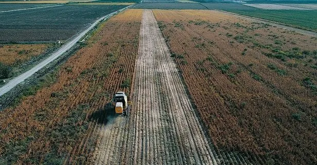 Türk tarımı dünya markası olacak