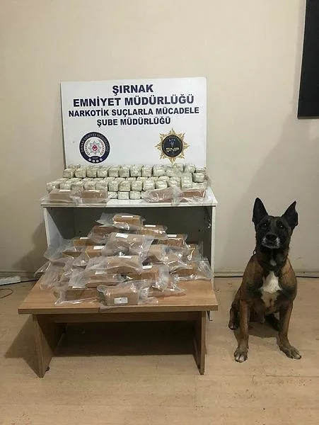 sirnakta-zehir-operasyonu-52-kilo-639-gram-uyusturucu-ele-gecirildi-1642962256145.jpeg