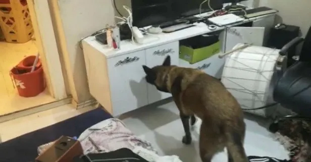 Son dakika: Bursa’da zehir tacirlerine darbe! Narkotik köpeği ’Fırtına’ ile uyuşturucu operasyonu: 6 gözaltı