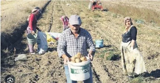 Deneme amaçlıydı geçim kaynağı oldu!