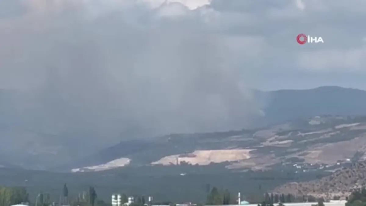 İznik'te korkutan orman yangını