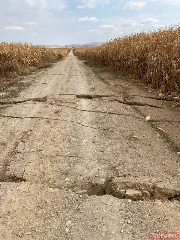 Karaman'da tarla yolunda korkutan yarıklar! - 3