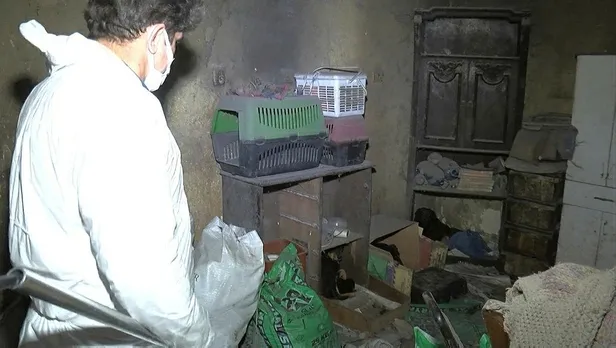 cop-evdeki-tuyler-urperten-gercek-olu-kedi-ve-kopekleri-saksiya-gomulmus-1641314007914.jpeg Çöp evdeki tüyler ürperten gerçek! Ölü kedi ve köpekleri saksıya gömülmüş...-3