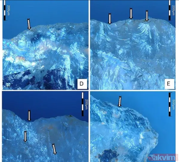 Dünyanın bilinen en eski zehirli oku keşfedildi - 4