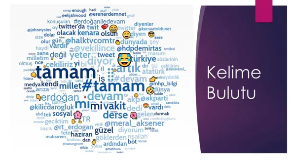 Twitter'daki kara propagandanın arkasında kimler var? TAMAM etiketine en çok hangi ülkeden destek verildi?-13