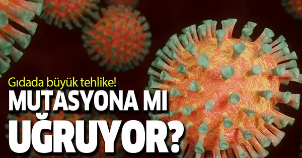 Bilim insanları ilk kez açıkladı! Koronavirüs gıdada mutasyona mı uğradı?-1