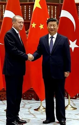 Çin'den Erdoğan'ın açıklamasına destek