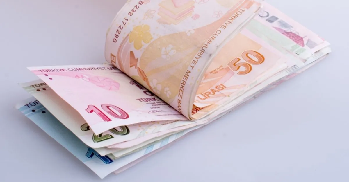 evde bakim maasi yatan illerin listesi belli oldu mu 13 subat evde bakim maasi sorgulama takvim