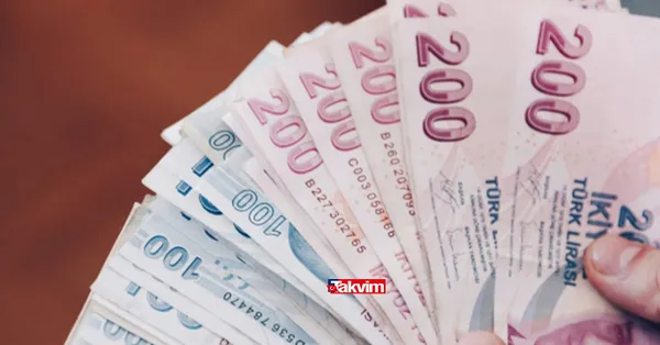 Duyan palas pandıras PTT'ye koştu! TC kimlik kartıyla gelene aylık 828 TL para yardımı! Şart yok, başvuru yapmak yeterli...