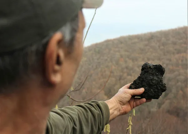 gokyuzunde-isik-gordu-olumden-dondu-basina-binlerce-dolar-degerinde-talih-kusu-kondu-1610791198797.jpg Gökyüzünde ışık gördü, ölümden döndü! Başına binlerce dolar değerinde talih kuşu kondu!-10