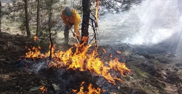 Orman yangınlarına karşı yeni dönem: Tampon bölgeler oluşturulacak