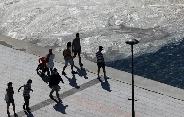 son-dakika-marmara-denizi-musilajla-deniz-salyasi-kaplandi-uzmanlar-uyardi-midye-yemeyin-felc-kalabilirsiniz-1622882666894.jpg SON DAKİKA: Marmara Denizi müsilajla (deniz salyası) kaplandı! Uzmanlar uyardı: Midye yemeyin felç kalabilirsiniz-22