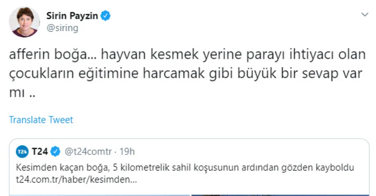 Şirin Payzın’ın kurban hazımsızlığına sosyal medyadan tepki yağdı