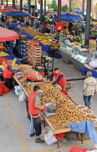 Kilo fiyatı 1,5 TL'ye kadar düşecek