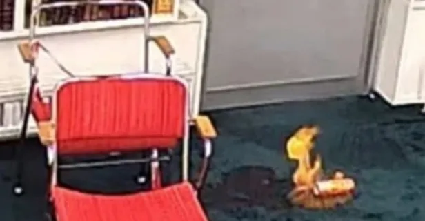 Suçunu kabul etti! Cami kundaklayan zanlı tutuklandı