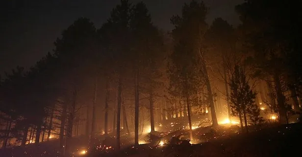 Son dakika: Çanakkale’de çıkan orman yangını ekipler tarafından kontrol altına alınmaya çalışılıyor