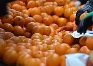 SON DAKİKA: Tarlada 2 markette 9 lira! Gıdadaki fahiş fiyat hilesine karşı önemli adım