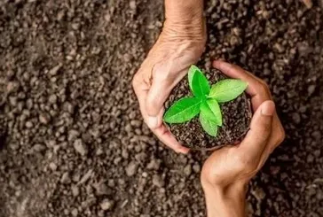 Geleceğe Nefes fidan bağışı nasıl yapılır, ücretli mi? Yeşil Vatan Seferberliği ne zaman, fidan sahiplenme nereden yapılacak?