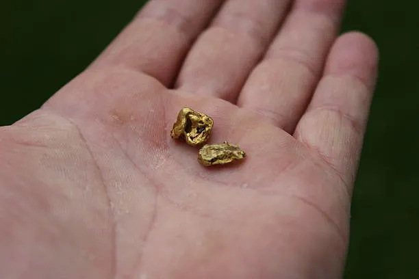 65-milyar-dolarlik-dev-altin-madeni-kesfedildi-ilk-altin-kulcesini-baskan-erdogan-dokecek-cuma-gunu-basliyor-a-1674565189537.jpg İlk altın külçesini Başkan Erdoğan dökecek! 6.5 milyar dolarlık dev altın madeni keşfedildi! Cuma günü başlıyor! Ağrı, Eskişehir, Çanakkale ve Bilecik...-2