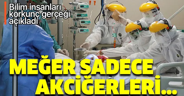 Bilim insanları ilk kez açıkladı! Meğer koronavirüs sadece akciğerleri...-1