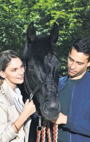 Bold Pilot gişede de şampiyon