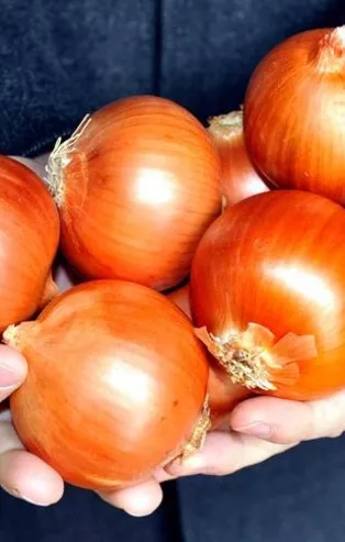 Soğan suyu kalp dostu