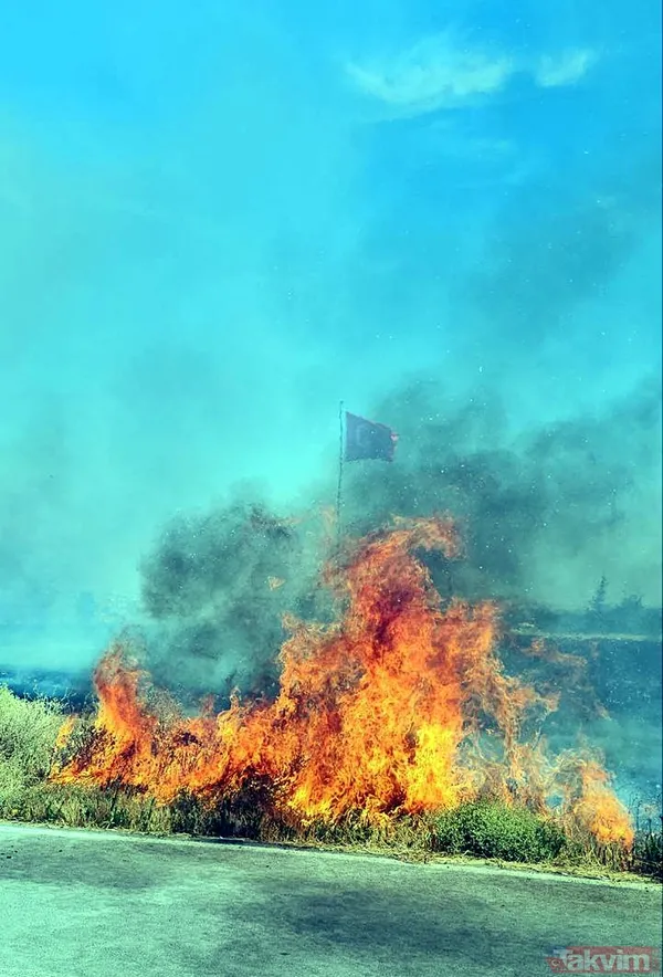 Edirne'de yangın, hayvanların barındığı ağıla sıçradı! - 5