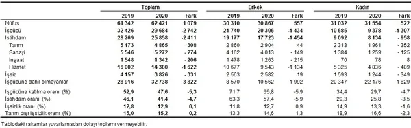 Son dakika: İşsizlik rakamları açıklandı! 2020 Mayıs ayı işsizlik rakamları-3