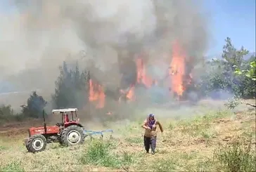Adana Kozan'da anız yangını! Zeytin bahçesi ve ormanlık alana sıçradı ekipler kontrol altına aldı