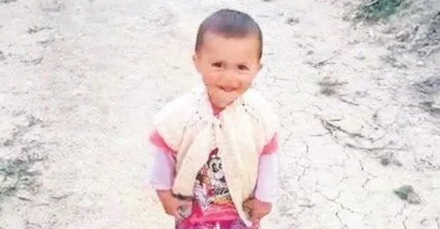 Kafatası ve kemikler 1,5 yaşındaki Ecrin’e ait çıktı: 6 kişi gözaltına alındı
