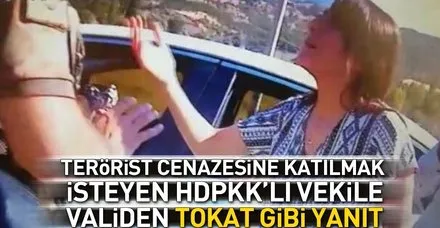 HDP'li vekil Dersim Dağ'a başkandan tokat gibi cevap