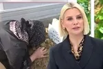 Fatih Aydın'ın cansız bedeni bulunmuştu! Esra Erol'da canlı yayınında anne Rabia oğlunun mezarı başında defalarca özür diledi
