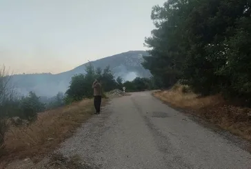 Adana'daki yangın kısmen kontrol altına alındı! 45 hektarlık alan küle döndü