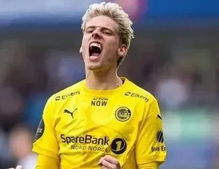 Gronbaek hamlesi
