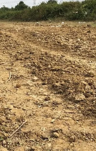 Sakarya’da Öksüz kazısı