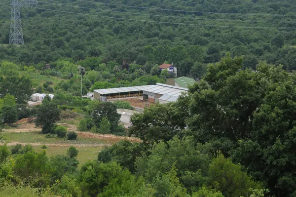 son-dakika-iyi-partili-lutfu-turkkanin-kocaeli-dilovasindaki-kacak-ciftligi-yikim-oncesi-tahliye-ediliyor-1624274937647.jpg SON DAKİKA: İYİ Partili Lütfü Türkkan'ın Kocaeli Dilovası'ndaki kaçak çiftliği yıkım öncesi tahliye ediliyor-13