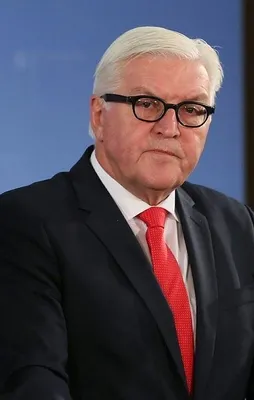 Steinmeier: Türkiye'ye ihtiyacımız var