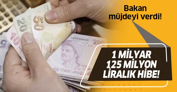 Tarım ve Orman Bakanı Bekir Pakdemirli duyurdu: 1 milyar 125 milyon liralık hibe!-1