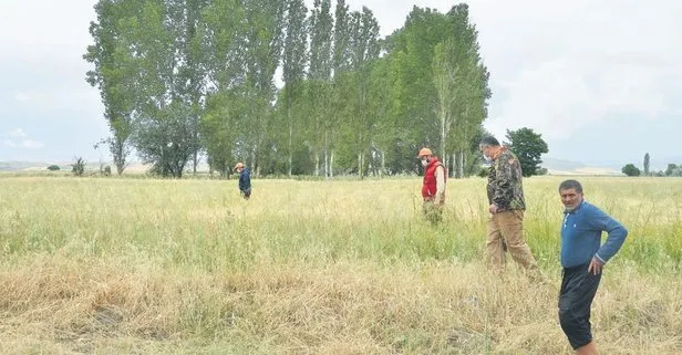 Çorum'da aslan avı