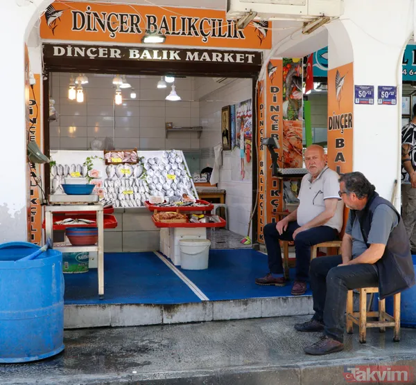 Müsilaj (deniz salyası) ticareti de etkiledi! Balık satışları durdu - 2