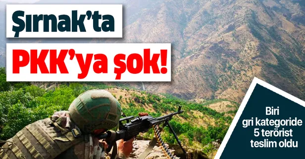 Son dakika haberi: Şırnak'ta PKK'ya şok! Biri gri kategoride 5 terörist teslim oldu